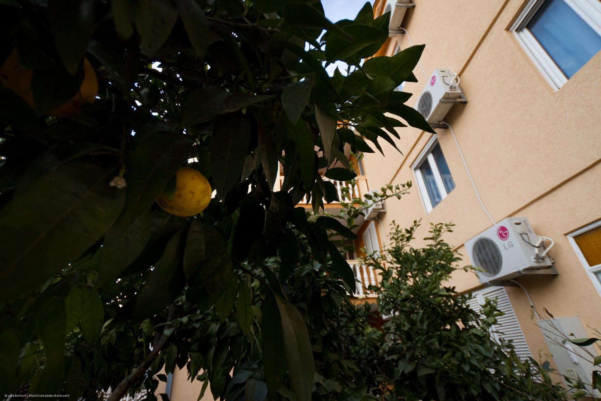 Apartments Dalila Ulcinj Kültér fotó